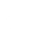 tiktok-lead-forms